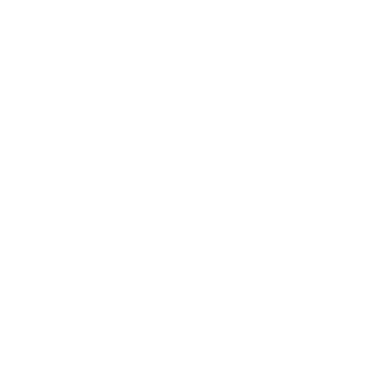 EY sponsors tedxliege